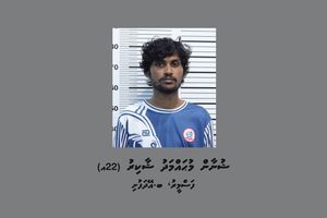 އެކްސިޑެންޓު ވުމުން ފިލި މީހަކު ހައްޔަރުކޮށްފި