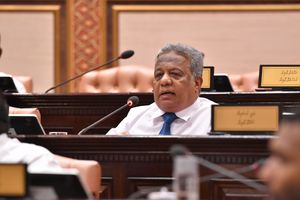 ސުޕަ މެޖޯރިޓީއާ އެކު މީހުންނަށް ބިރެއް ނުދައްކާނަން: ސަލީމް