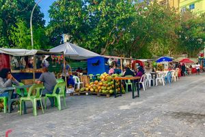 އެންމެ ކުރުނބާ ގާޑިޔަލެއް ވެސް މިހާރު ނެތް