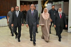 ބޭނުންހާ އެއްޗެއް ބުނުމަކީ ހިޔާލުފާޅުކުރުމުގެ މިނިވަންކަމެއް ނޫން