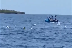 ބަލަ ބަލައި ހުއްޓައި ކުނިތައް އެ އަޅާލީ ކަނޑަށް!