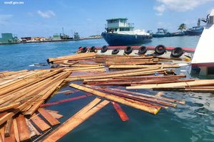 ލަކުޑި ބަރުކޮށްގެން ދިޔަ ދޯންޏެއް އަޑިއަށް ހިނގައްޖެ