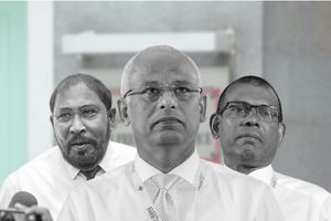 ‏ރައީސް ސޯލިހާ ބައްދަލުކުރަން ގާސިމާއި ނަޝީދު ހުށަހަޅައިފި