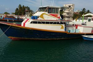ތިން މީހުންނާއެކު މަސް ދޯންޏެއް ގެއްލިގެން ހޯދަނީ 