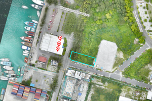 އައިލެންޑް އޭވިއޭޝަނުން 49 މިލިއަން ރުފިޔާއަށް ބިމެއް ގަނެފި 