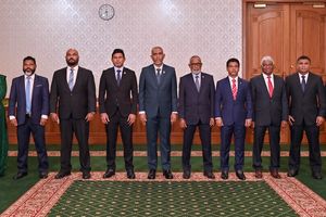 ސިޔާސީ މުވައްޒަފުންގެ އަދަދު މާލިއްޔަތު ކޮމެޓީއަށް ވެސް ނުދިން