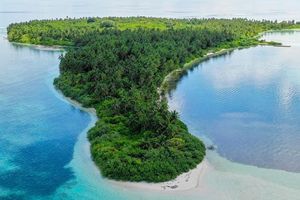 ވިލާއިން އެދުނު ގޮތަށް އެލާގެ ބަދަލުގައި ފެންފުށީ ފަޅުން ބައެއް