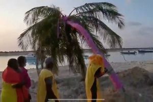 ފިޔާތޮށި ރުއް ކަނޑާލައި ހިންގި އަމަލު ބަލައެއް ނުގަންނަން: އެމްޑީޕީ