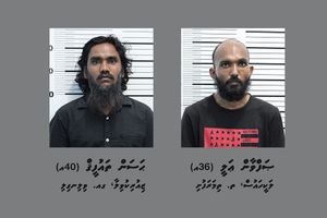 ރަސްފަންނުން އަތް ދަބަހެއް ވަގަށް ނެގި ދެ މީހުން ހައްޔަރު ކޮށްފި