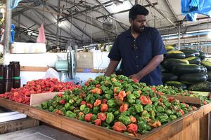 ކަނޑޫދޫ މިރުހުގެ އަގު އަތްފޯރާފަށަށް، ކަރާގެ އަގު އެއްވަރެއްގައި