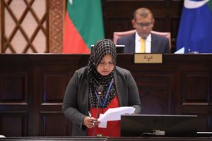 މެމްބަރުން ތަޅުމުގައި އިހުތިޖާޖުގައި, އަމީންއާންމު ހިމޭނުން!