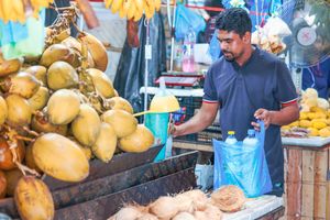 ސްޓޮކު އާވެ، ބާޒާރުގައި އަނެއްކާ ވެސް ކުރުނބާ ތިޔާގިވެއްޖެ 