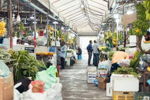 STO to import 23 items as basic commodities