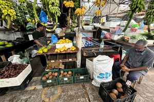 ބާޒާރުގައި ކާއްޓެއްގެ އަގު 40ރ. އަށް އަރައިފި 