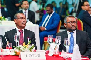 އެމްޑީޕީ އާއި ޑިމޮކްރެޓްސް ގުޅެން ފައްޔާޒް ވެސް ތާއީދު 