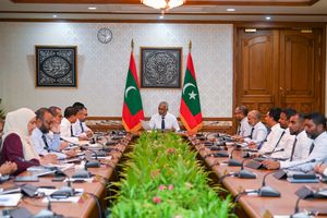 Cabinet recommends signing high seas treaty