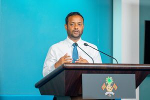 4000 ފްލެޓު: އަލުންބަލުން ލިސްޓުގެ ސައްހަކަން ބަލަނީ 