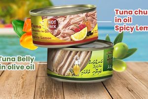 މިފްކޯއިން މިފަހަރު ތައާރަފްކުރީ ލުނބޯ މިރުހާއި ބަނޑައިދޫ 