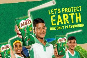 މައިލޯ ޕެކެޓުގައި ކަރުދާސް ހޮޅި ބޭނުންކުރަން ފަށައިފި
