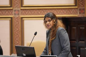 ފިލްޒާގެ ކަންބޮޑުވުންތަކާމެދު ތަޅުމުގައި ވޯޓަށް ނޭހި