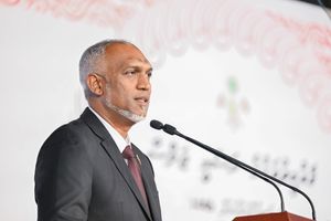 "ރިޔާސީ ހުރިހާ ވައުދުގެ މަސައްކަތް ދެ އަހަރު ތެރޭ ފަށާނަން"