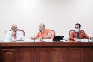 ބިދޭސީން ގެންނަ އެޖެންސީތަކުގެ ޝަކުވާގެ ހައްލަކީ ގާނޫނެއް: ނަސީމް
