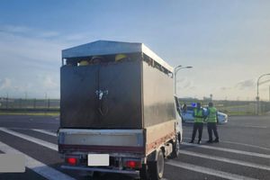 Vehicle towed over inhumane transportation