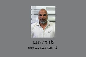 މީހަކު ރަހީނުކުރިކަމުގެ ތުހުމަތުގައި މީހަކު ހައްޔަރުކޮށްފި