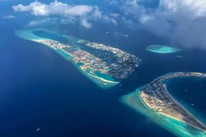 މިލްކު ކުރެވޭ ގޮތަށް ތިލަފުށިން ބިން ވިއްކަން ފަށަނީ