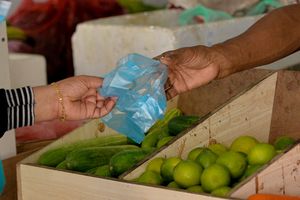 25,000 plastic bags used daily in Maldives