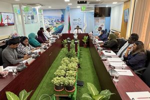 އެސްޓީއޯއިން 10،000 އަކަފޫޓުގެ ބިމެއް ވިލިމާލެއިން ހޯދަނީ