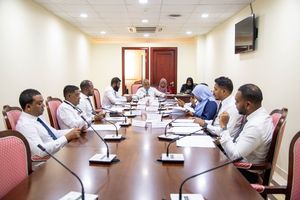 ޑަބްލިއުޑީސީގެ ކަންބޮޑުވުންތައް ލާމަރުކަޒީ ކޮމިޓީން ބަލަނީ 