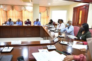އާމްދަނީ ހީނަރުވާ ކަންކަމަށް ތާއީދެއް ނުކުރަން: ގަވަރުނަރު