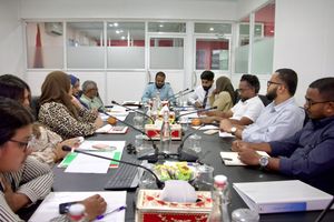 މީޑިއާ ނެތިކޮށްލާ ބިލު ބަލައިނުގަނެ ބޭރުކޮށްލަން ގޮވާލައިފި 