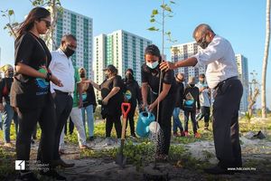 ތިން އަހަރު ތެރޭ 23 ހާހަށް ވުރެ ގިނަ ގަސް އިންދައިފި: ޝައުނާ 