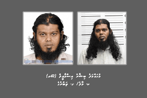 ފޮޓޯ ޖެހިތާ ގިނައިރުތަކެއް ނުވެ ބިޝާރު އަތުލައިގެންފި