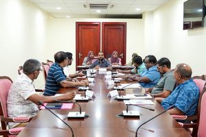 Committee reverses VIP service for MPs' travel companions