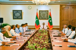 ހުލާސާކޮށް އިއްޔެ: ރައީސް ރިޔާސަތު ބަލަހައްޓަވާ ކައުންސިލެއް