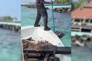 ކުރުނބާ އައިލެންޑް ރިސޯޓަށް ގިނަ އަދަދެއްގެ ކުނި ލައްވަނީ