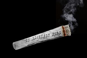 ދުންފަތް ކޮންޓްރޯލް ކުރުމާ ގުޅޭ އިންގިލާބީ ގަވާއިދު ތަންފީޒުނުކޮށް ޑަސްބިނުގައި 