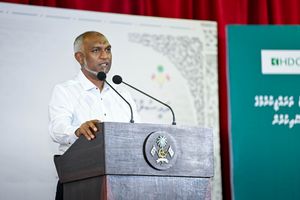 އެކަނިވެރި މައިންގެ އެލަވަންސް ބޮޑުކޮށް، ބަޖެޓުގައި ހިމަނަނީ