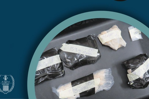 Customs seize 3.5 kg of drugs at VIA
