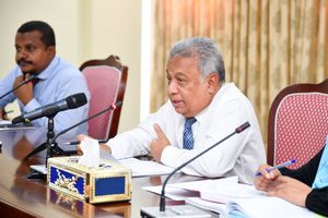 ބަޖެޓު ކޮމިޓީގެ މުގައްރިރަކަށް ސަލީމް، ނައިބަކަށް ފަޒާދު