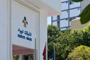 ވެރިންގެ މިލްކިއްޔާތުގައި ގާނޫނަކުން ވަކި އަތުޖެހޭނެ؟