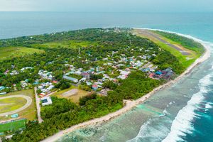 މަސްތުވާތަކެތީގެ ނެޓްވޯކެއް ހިންގި ދެމީހަކަށް ދައުވާކޮށްފި
