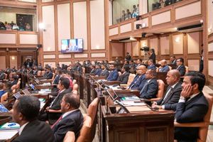 މެންބަރުންގެ މުސާރައާއި އިނާޔަތްތައް ކުޑަކުރަން ގޮވާލާ ޕެޓިޝަނެއް