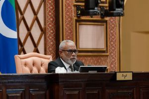 "ޝައީރަތަށް ސާބިތުނުވާ ވާހަކައެއް މަޖިލީހުގަ ދައްކައިގެން ނުވާނެ"