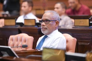 "ޕީޖީއަކަށް ގާތް މީހަކު ގެންނަން ލޮބީއެއް ނުކުރަން"