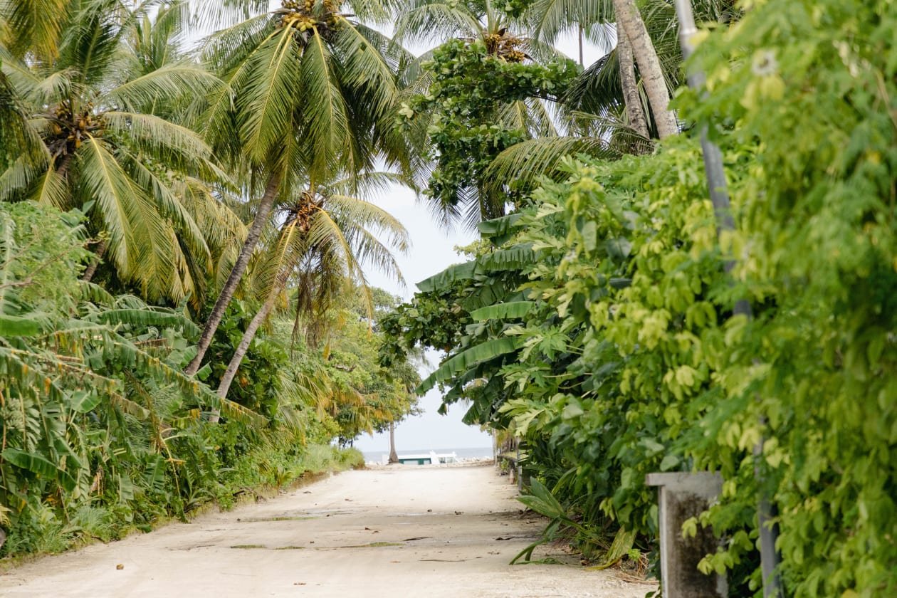 ނޮޅިވަރަމުގައި މަރުވީ ނަފްސާނީ ބައްޔަށް ފަރުވާ ހޯދި ޒުވާނެއް