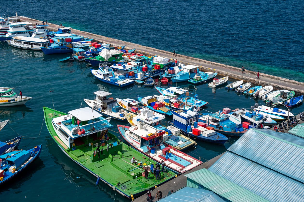 މަސްވެރިންގެ ސަބްސިޑީ އަކީ ހަމައެކަނި މިފްކޯގެ ހައްގެއް ނޫން!